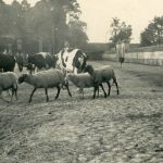 Wejście do kościoła, 1935r.